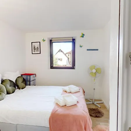 Le Charme Colmarien - 2 Pieces Au Coeur De La *