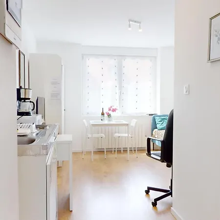 Le Charme Colmarien - 2 Pièces Au Cœur De La