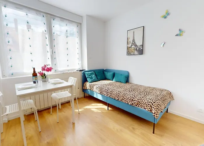 Apartment Le Charme Colmarien - 2 Pieces Au Coeur De La *