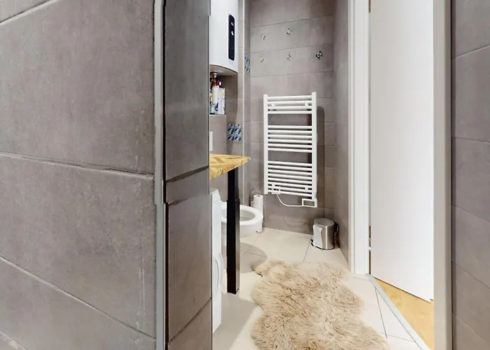 Le Charme Colmarien - 2 Pièces Au Cœur De La Colmar