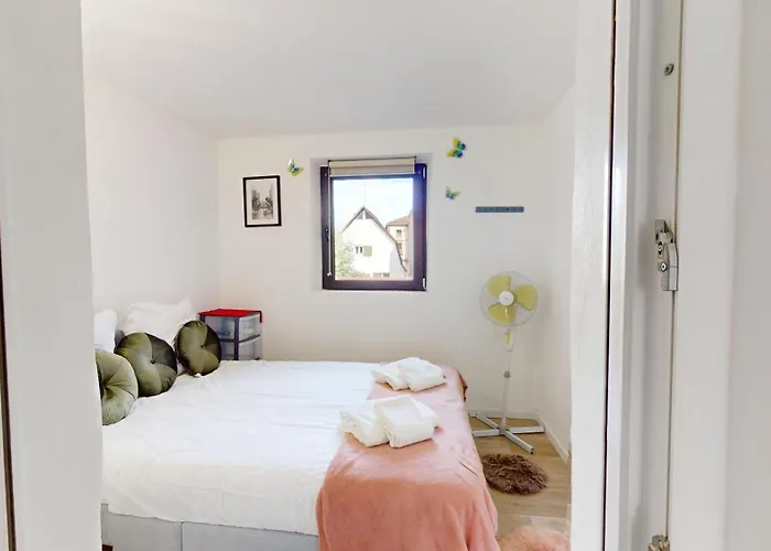 Le Charme Colmarien - 2 Pièces Au Cœur De La *