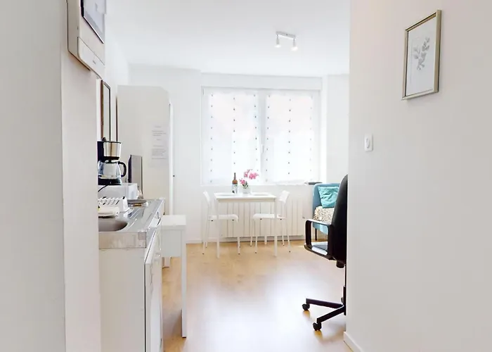 Le Charme Colmarien - 2 Pièces Au Cœur De La